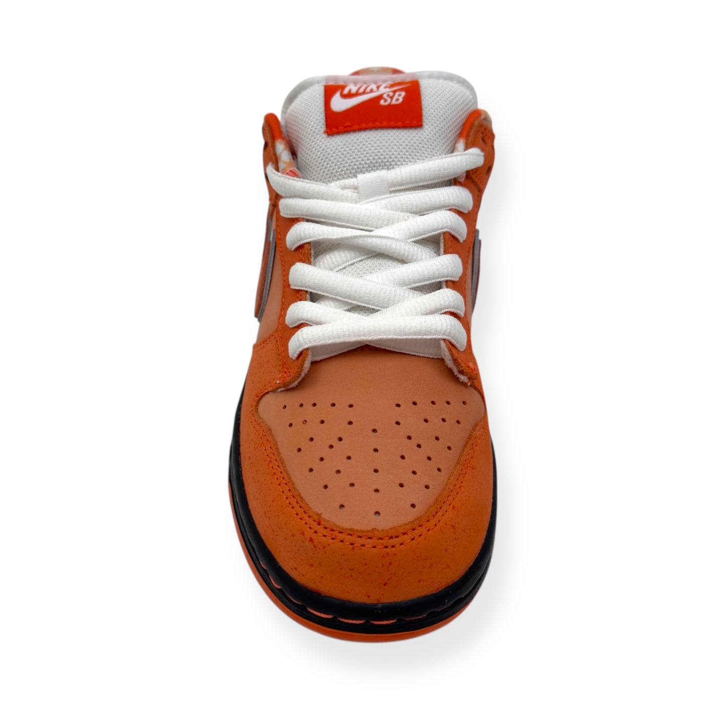 NIKE CONCEPTS X DUNK SB LOW TOP SNEAKER ORANGE LOBSTER UK5