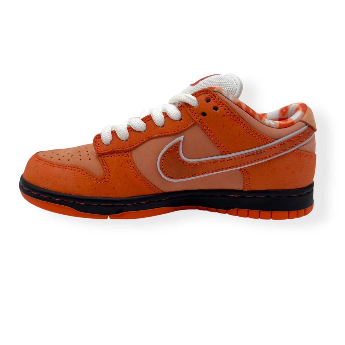 NIKE CONCEPTS X DUNK SB LOW TOP SNEAKER ORANGE LOBSTER UK5