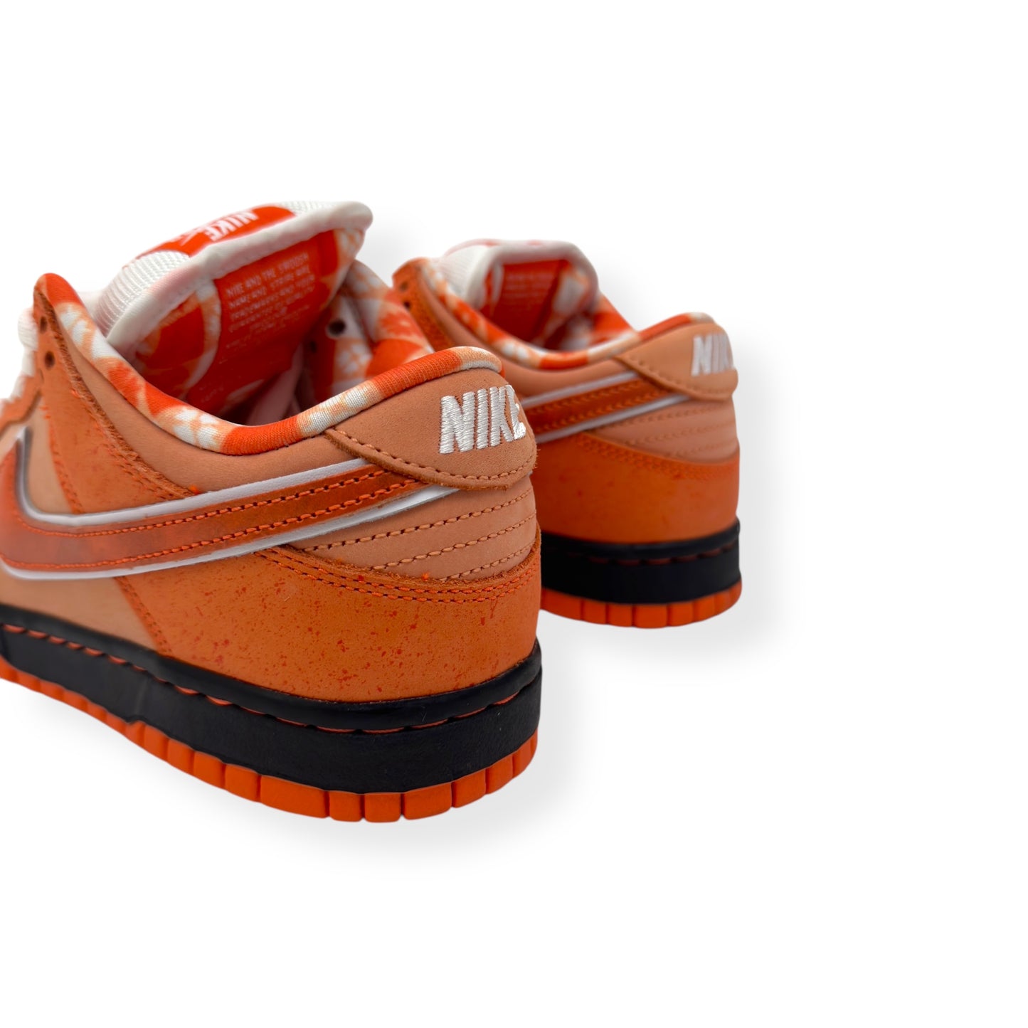 NIKE CONCEPTS X DUNK SB LOW TOP SNEAKER ORANGE LOBSTER UK5
