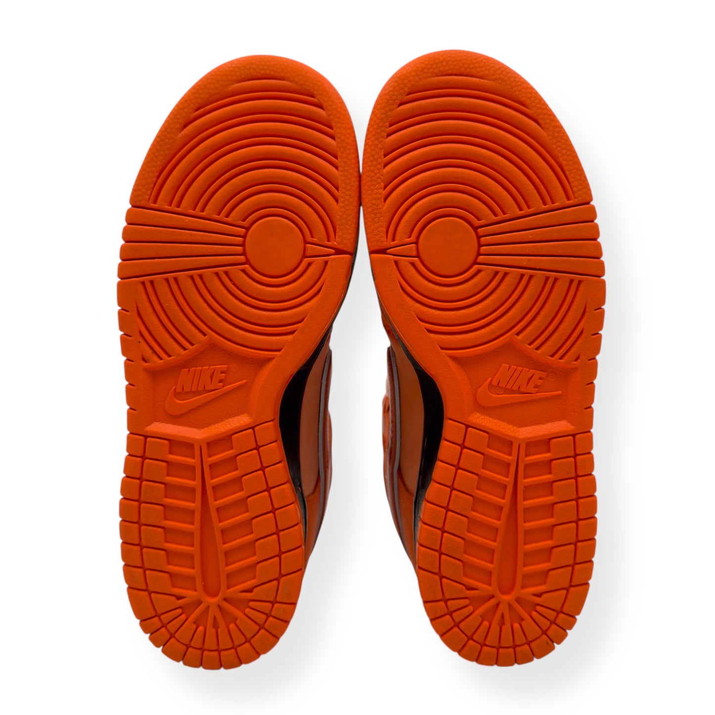 NIKE CONCEPTS X DUNK SB LOW TOP SNEAKER ORANGE LOBSTER UK5