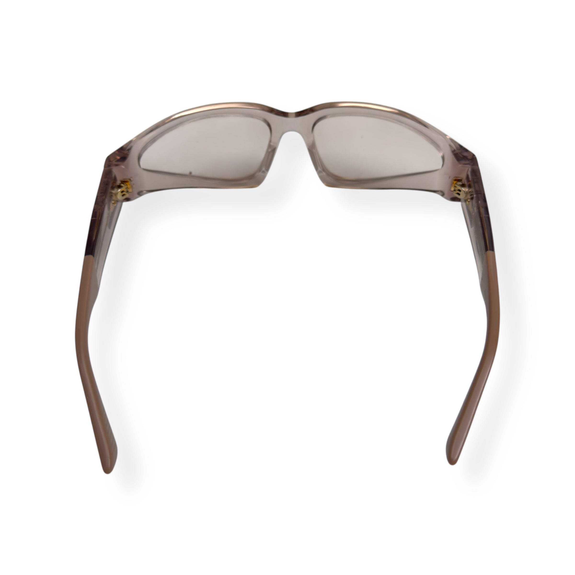 BOTTEGA VENETA ROKA ACETATE SUNGLASSES TRANSPARENT / ROSE