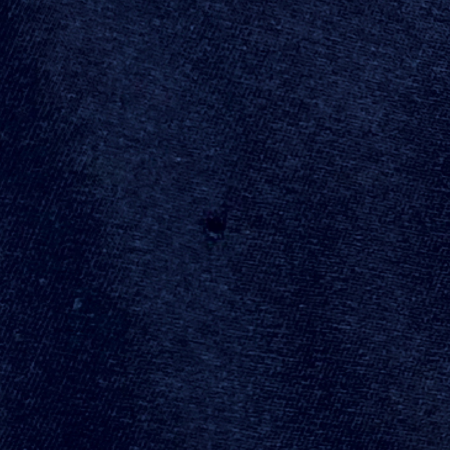 MCQ ALEXANDER MCQUEEN SWALLOW T-SHIRT NAVY XS