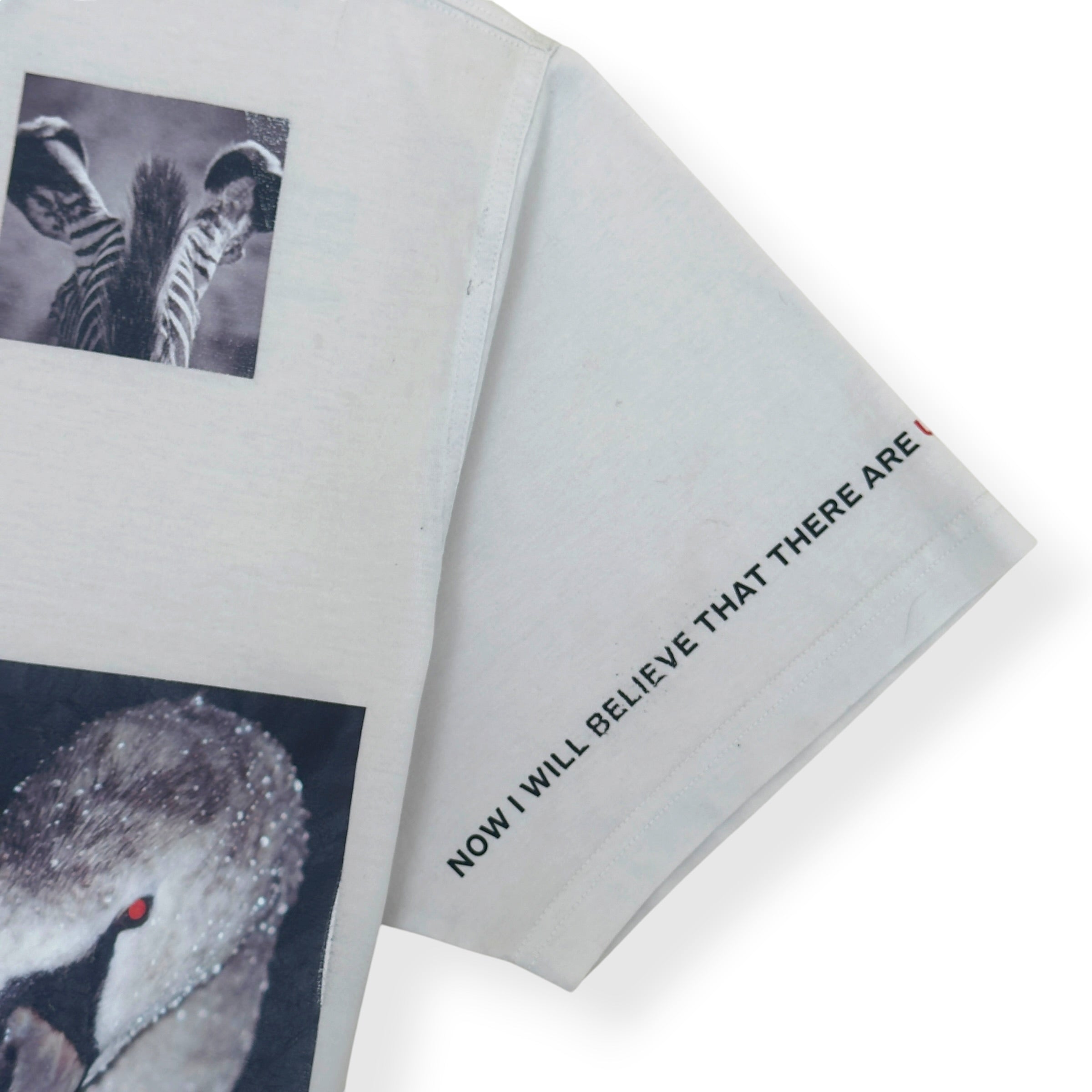BURBERRY LOVE SWAN PRINT T-SHIRT STONE L