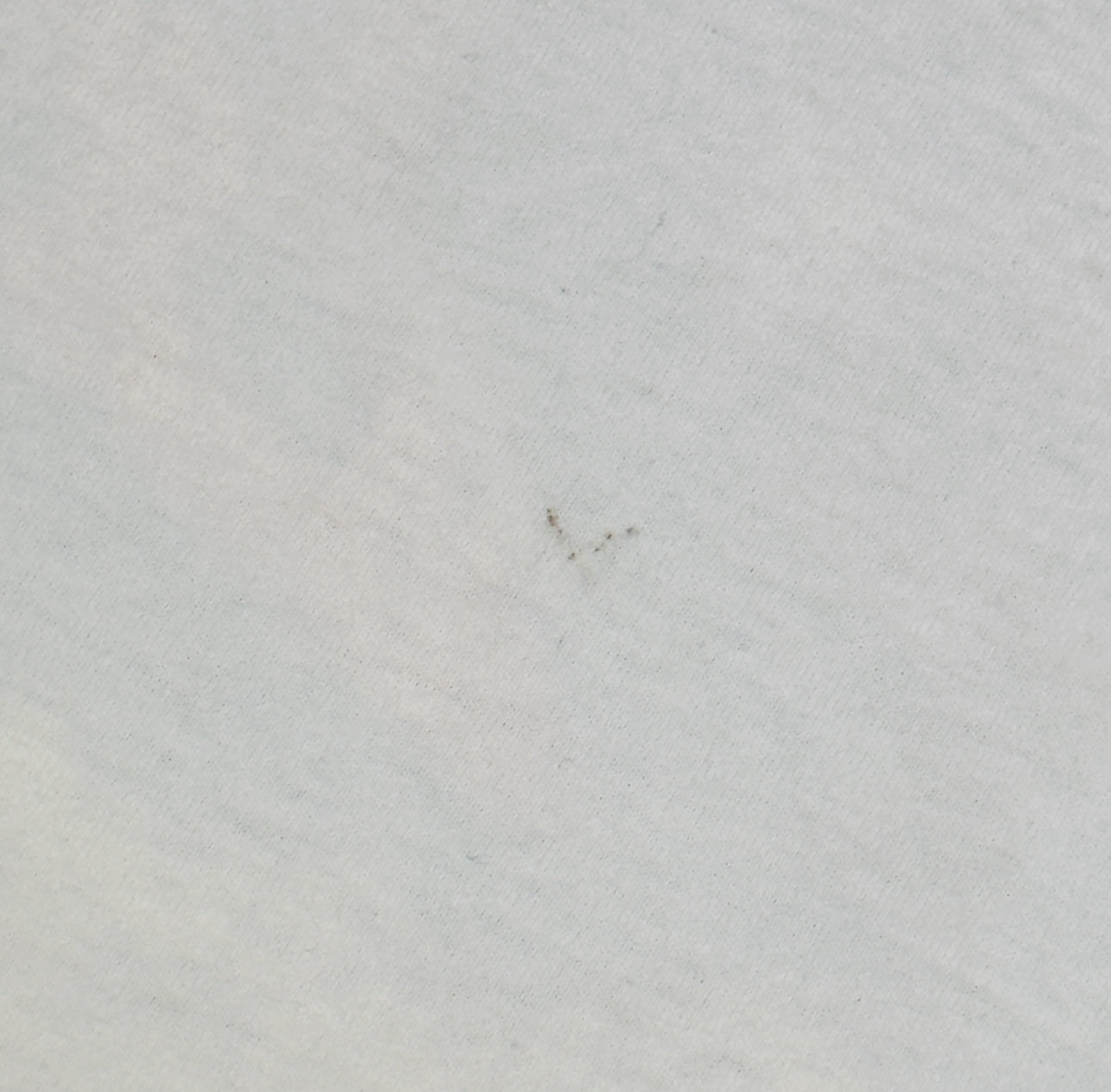 GALLERY DEPT. SKELETON BEACH SURF T-SHIRT WHITE L