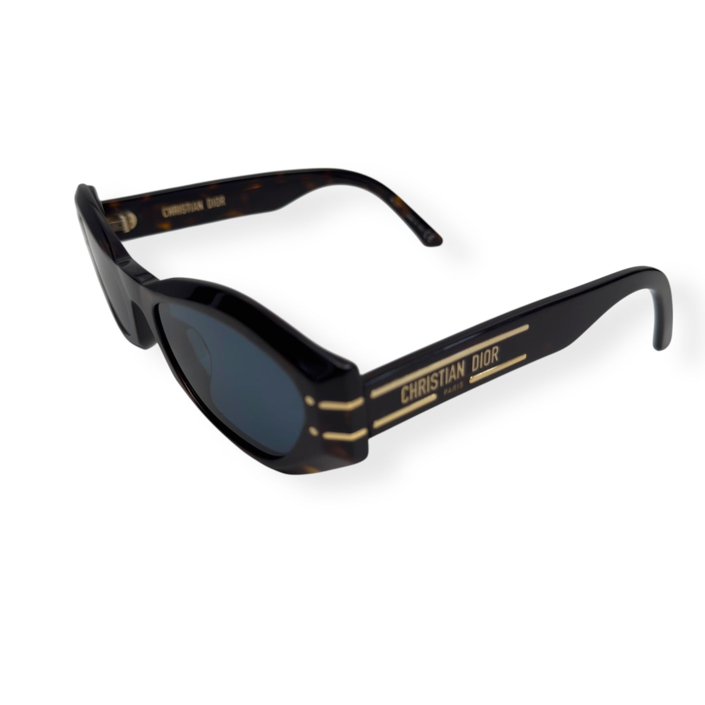 CHRISTIAN DIOR DIORSIGNATURE B1U SUNGLASSES BROWN / BLUE