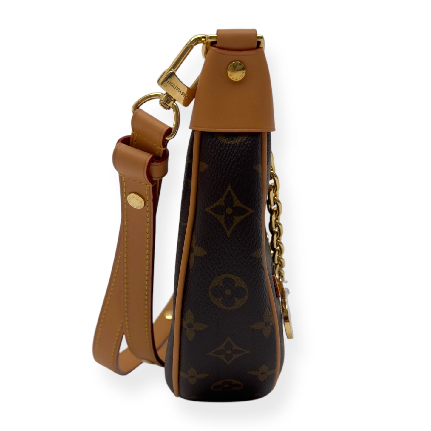 LOUIS VUITTON LOOP BAG MONOGRAM CANVAS BAG BROWN PM - 1/2 PAYMENT