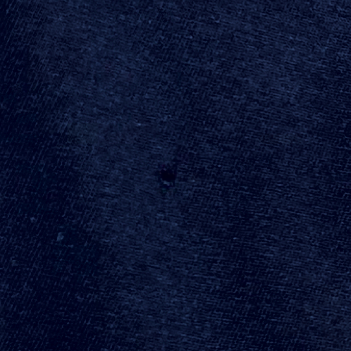 MCQ ALEXANDER MCQUEEN SWALLOW T-SHIRT NAVY XS